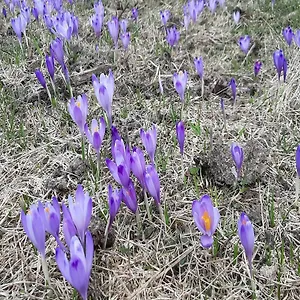 W Zakopanem Blisko Krupówek Apartament