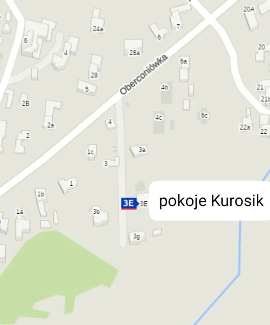 Pokoje Gościnne Kurosik Zakopane Kwatera prywatna